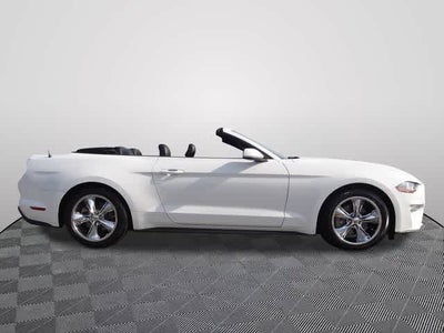 2022 Ford Mustang EcoBoost