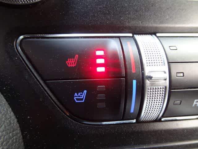 2022 Ford Mustang EcoBoost