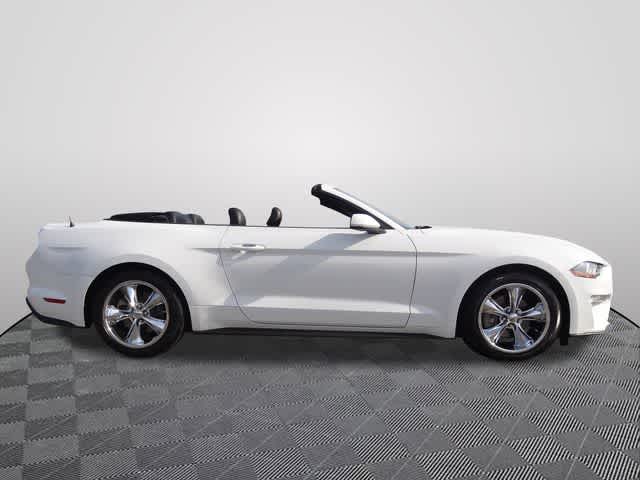 2022 Ford Mustang EcoBoost