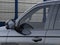 2026 Ford Expedition Max MAX Platinum®