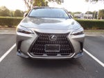 2025 Lexus NX 350 NX 350