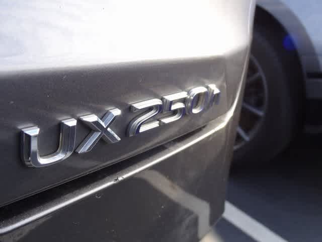 2021 Lexus UX 250h UX 250h