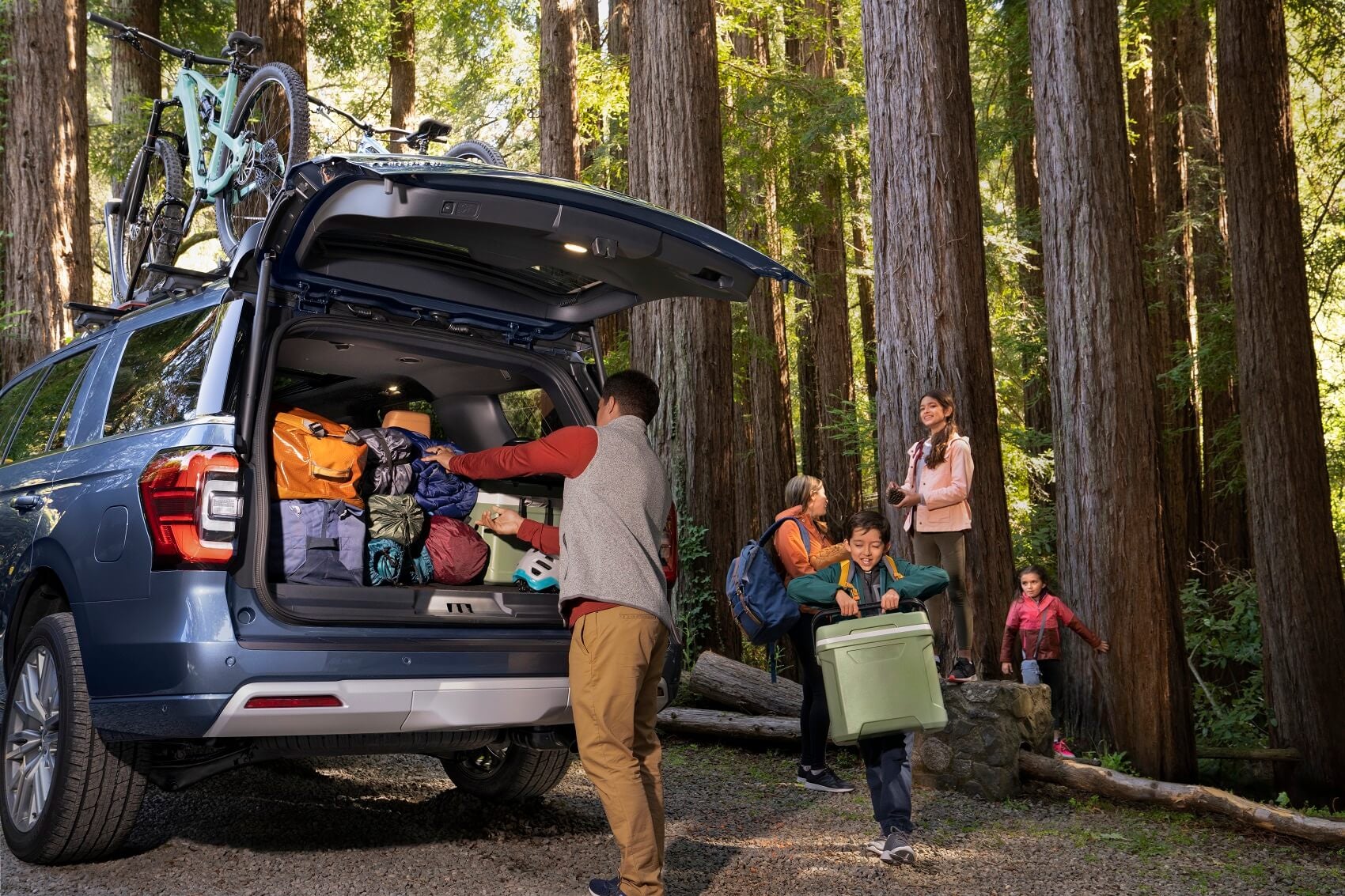 Used Car Dealership Suffolk VA 