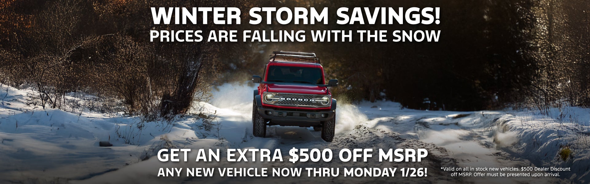 Winter Storm Savings